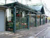 DSCN3468.jpg (82756 Byte)